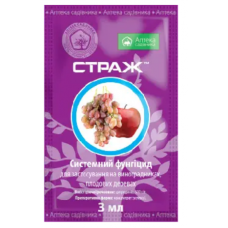 Страж